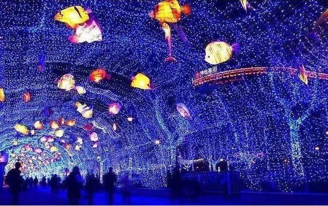 WeChat picture_20200528183445.jpg