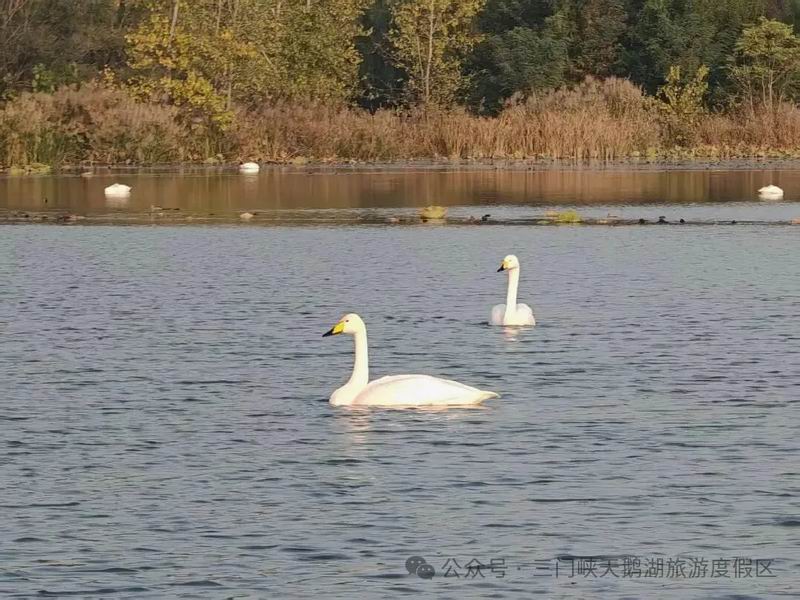 640_wx_fmt=jpeg&from=appmsg&watermark=1&tp=webp&wxfrom=5&wx_lazy=1.jpg