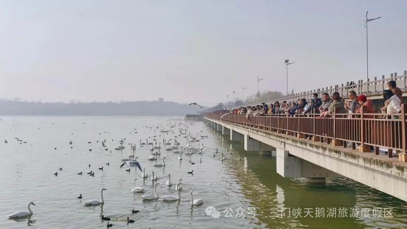 640_wx_fmt=jpeg&from=appmsg&watermark=1&tp=webp&wxfrom=5&wx_lazy=1 (17).jpg