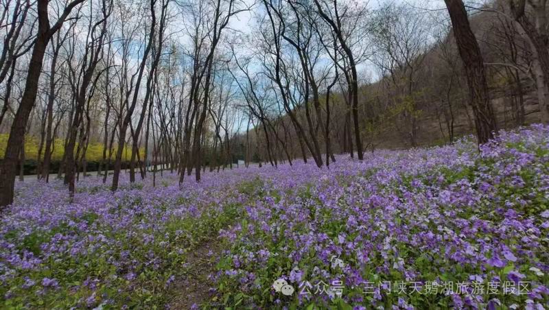 640_wx_fmt=jpeg&watermark=1&tp=webp&wxfrom=5&wx_lazy=1 (18).jpg