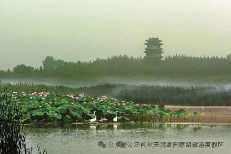 640_wx_fmt=jpeg&from=appmsg&watermark=1&wxfrom=5&wx_lazy=1&tp=webp (9).jpg
