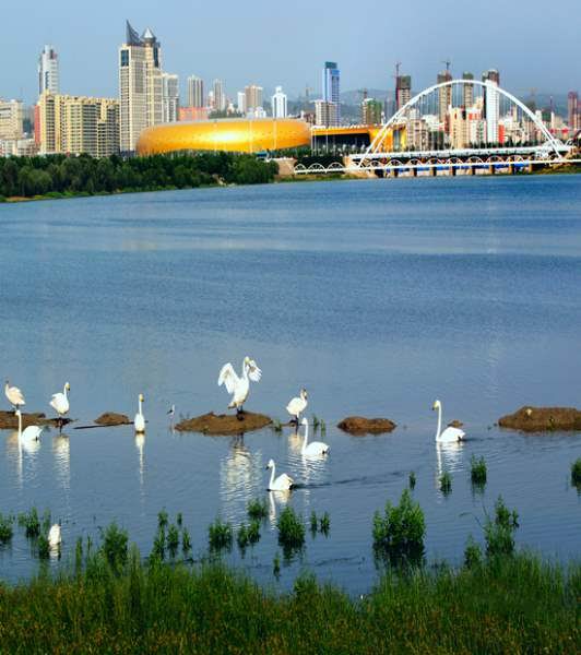 三门峡天鹅湖旅游度假区管委会成立暨天鹅湖国家级旅游度假区和5A级旅游景区创建工作推进顺利召开