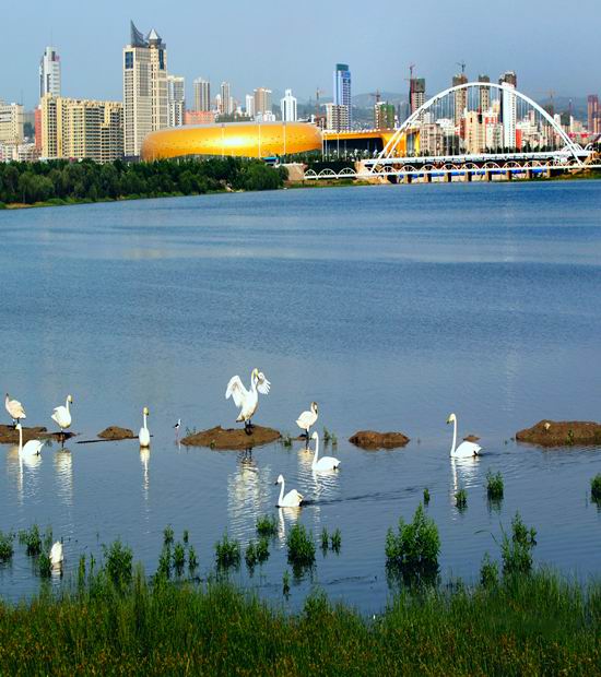 创建国家级三门峡天鹅湖旅游度假区新增全景图及改造工程结果公告