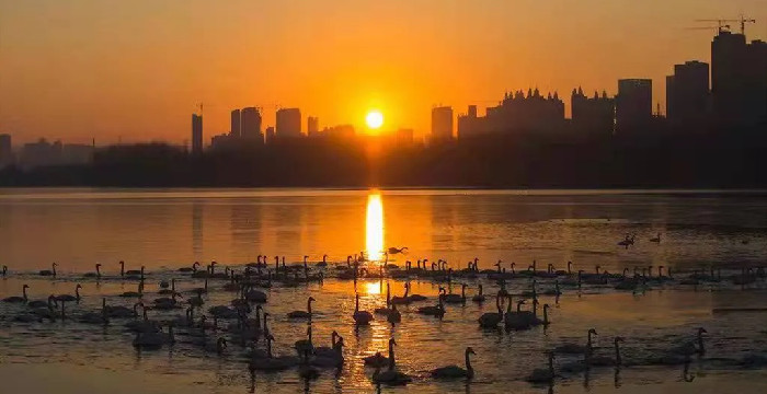 创建国家级三门峡天鹅湖旅游度假区工作会议
