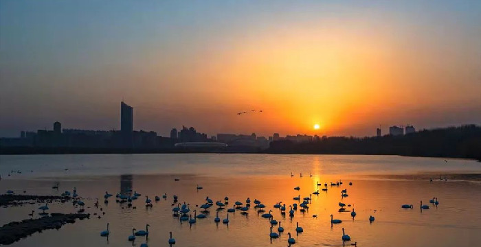 三门峡市庙底沟旅游文化产业园（博物馆项目）竣工规划验收测绘项目成交公告