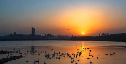 庙底沟考古遗址公园4A级景区日常保洁项目竞争性磋商成交公告