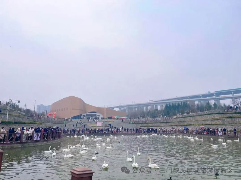 坚守岗位 “不打烊”，温情守护 “烟火气”