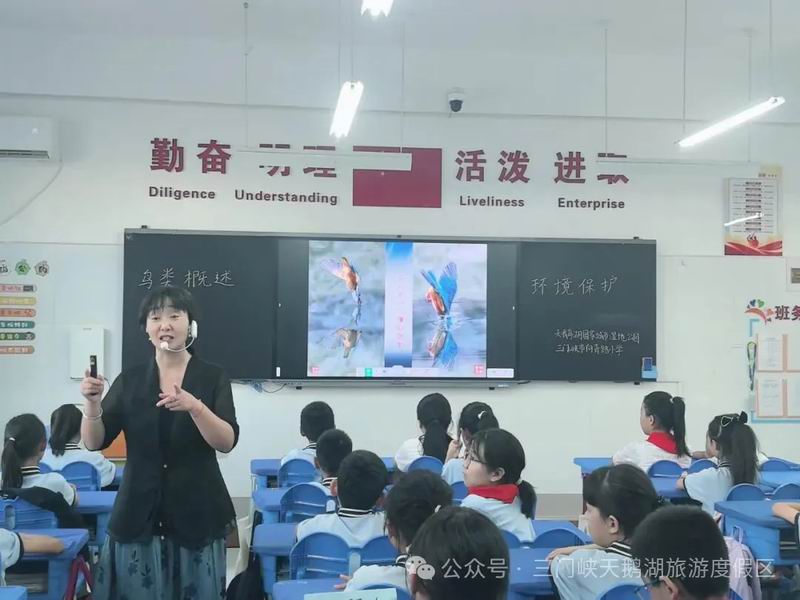 科普进校园：从景区飞羽到课堂，带学生解锁鸟类精灵的秘密