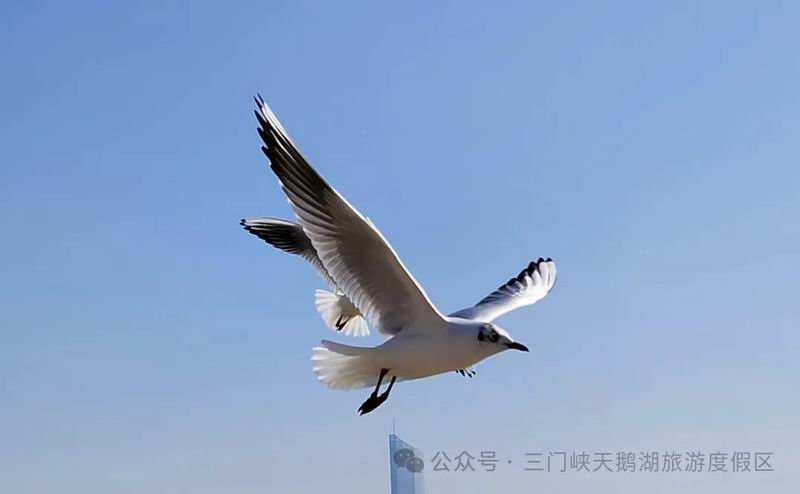640_wx_fmt=jpeg&from=appmsg&tp=webp&wxfrom=5&wx_lazy=1 (3).jpg