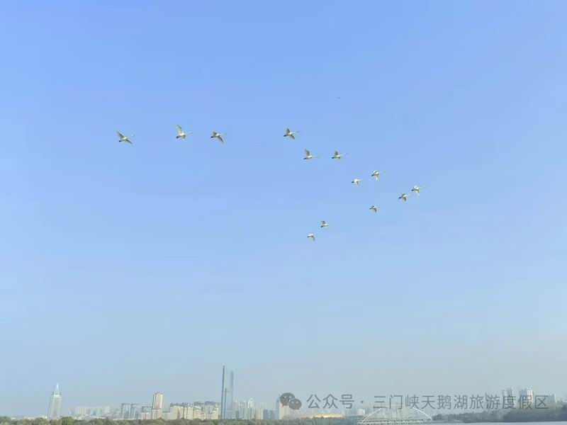 640_wx_fmt=jpeg&from=appmsg&tp=webp&wxfrom=5&wx_lazy=1 (4).jpg