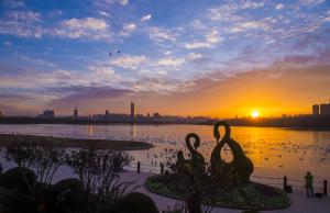 Swan Lake National Urban Wetland Park audio commentary